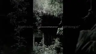 Nguồn Tiktok: apollone1609 #science #music