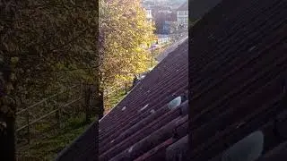 Florian Ellrich 23 auf den Weg zum Wohnhausbrand nach G&uuml;nzerode