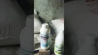 Farmer Review on Poultry feed | Gallus Poultry Feed | Call for Dealership| 6006460527