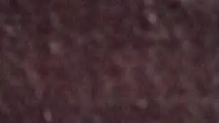Live streaming of Word on The street Flax