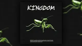 [FREE][15+] UK Drill Loop/Sample Kit - Kingdom (Vocal, Chopped, Dark, SR, Suspect, Russ Millions)