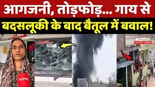 Betul News: आगजनी, तोड़फोड़... गाय से बदसलूकी के बाद बैतूल में बवाल! Muslim | Hindu Sangathan
