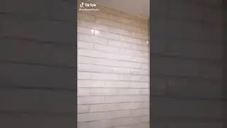 Tile shine ✨