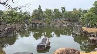 Looking around Ninomaru palace in Nijo castle in Kyoto, Japan!!