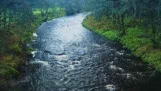 LIVE Mountain River Sounds ASMR 🌊 Peaceful Water Flow for Sleep & Focus