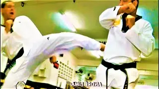 MARTIAL ARTS WAY of LIFE by MASTER ANDRE ALEX LIMA || TAEKWONDO TRAINING GRAPPLING KICKING PUNCHING