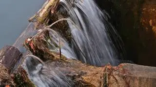 The Boyne River