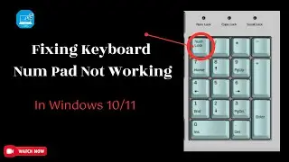 How To Fix Number Pad Not Working On Windows 10/11