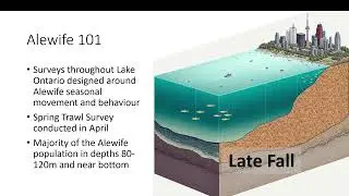 LOC 14 Status Of Lake Ontario Offshore Pelagic Prey Fish: 2020-2024