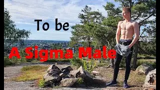 To Be a Sigma Male - The Based Stories