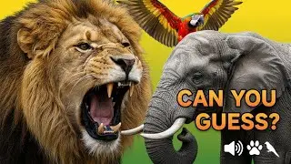 Top 10 REAL Animal & Bird Sounds 🦁🐘🐦 | Amazing Jungle Experience | Zoonexia