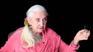 Video Nugget: Intuitive Animal Communication with Linda Tellington-Jones