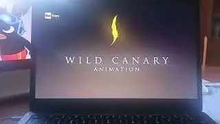 Wild Canary Animation Disney Junior