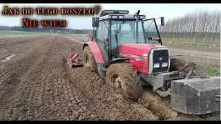 ★WTOPA★Massey Ferguson 6160 po osie★Uprawa pod kukurydzę, siew kukurydzy★Ursus 1614★Ursus 1224★