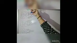Sympathetic Nervous System.