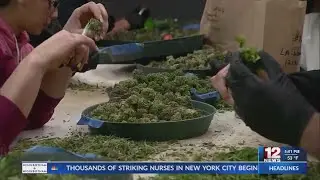 Bill introduced to legalize marijuana in WV