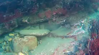 millook using the kaiser baas x90 action camera!