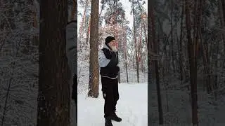 Дыхание первого года практик ✨ #Stream 🌲 #Forest  Как птица в Небе ! Дао ❄️ Зимы Цигун ☯️ Тайцзи!