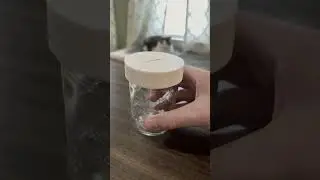 3D Printed Mason Jar Coin Slot Lid - Surprisingly secure fit #satisfying #3dprinting #asmr