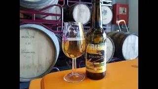 Cerveses La Pirata Viakrucis American IPA | Spanish Craft Beer Review