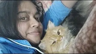 এই শীতে বিড়ালদেরকে কিভাবে পরিচর্যা করবেন।