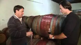 Vergenoegd Wine visited by The South African Wine Safari