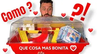 lo que me faltaba ya,  UN HÁMSTER !!