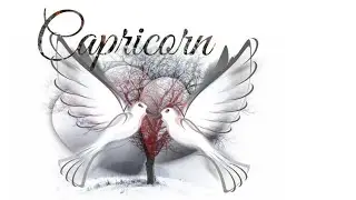 Capricorn Safe, Stable, Consistent Love - Dec - 2022
