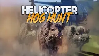 Heli Hog Hunt - Sniper Game (by Supercent) IOS Gameplay Video (HD)