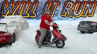 1985 Honda Elite SAVED by two raccoons in a trenchcoat (OFFROAD ADVENTURE SCOOT BUILD)