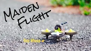 TinyWhoopでMaiden!［FPV001］