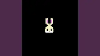 Silly Bunny
