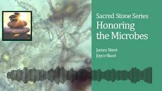 Sacred Stone Series - Honoring The Microbes