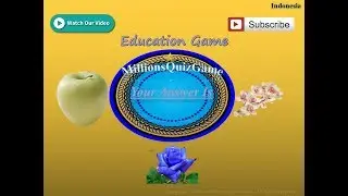 MillionsQuizGame #00000336