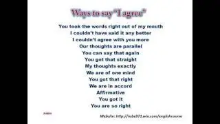 Ways to say I agree