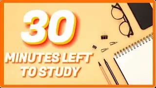 30-Minute Classroom/Home Study Timer with Progress Bar | Daily Learning Tools