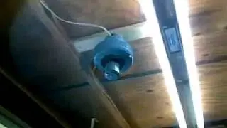 Nates ceiling fans in the garage
