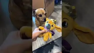Lord Minion Plushie released!!
