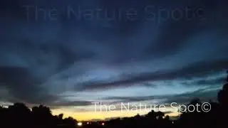 📸 The Nature Spot #nature #naturephotography #fyp #like #subscribe 