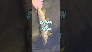 Ловля бурой форели в реке Биг-Боу с шельфового ледника