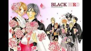 Black Bird Manga Review!