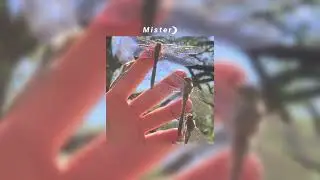 𝙏𝙚𝙖𝙢 - 𝙇𝙊𝙍𝘿𝙀 (𝙨𝙡𝙤𝙬𝙚𝙙 𝙖𝙣𝙙 𝙧𝙚𝙫𝙚𝙧𝙗)