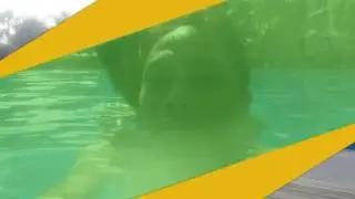 Wisata Bukit Mas