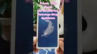 💞Prends cette plume, elle est pour toi #guidance #ange #message