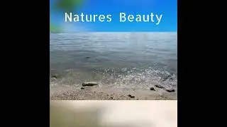 Andaman Trip. Andaman Beaches Revealed. Top Vacation 2023 #andamanislands #andamanbeach