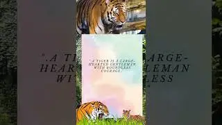tiger quote  #shorts #animal #quotes