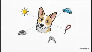 How Do Dogs Perceive Time?