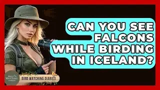 Can You See Falcons While Birding In Iceland? - Bird Watching Diaries