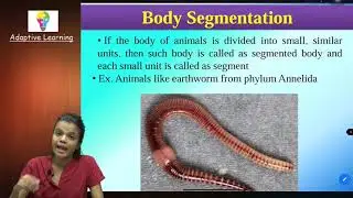 SSC | Class 10th | Science 2 | Chap 6 | Animal Classification | Lecture 2
