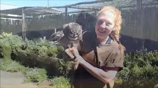 Ganora Guestfarm & Excursions